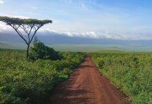 nieuwsover-Tanzania rondreis